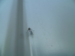 1Seen1
