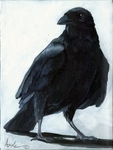 Magic.Crow