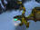 wowka100500