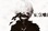 []BesT[]