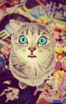 Egor.WoW99