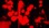 Jack_TheRipper
