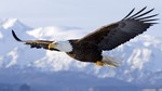 Ragemonax
