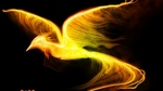 Magic.Funny