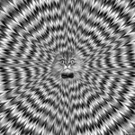 Magic.Zexs