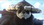 Pandariys_zero