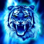 sergey8434688