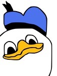 zewsing