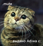 Magic.Adiva
