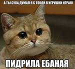 kursk4601 avatar