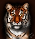 Magic.Ave avatar