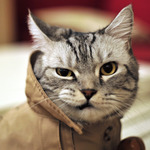 Magic.ReSwag avatar