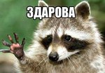 RRustam