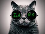 Lans10