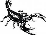 korovians