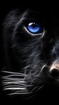Magic.Fatura