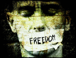 B-Freedom