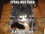 zloy.ork