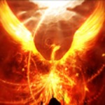 Alex768 avatar