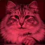 Ember67337